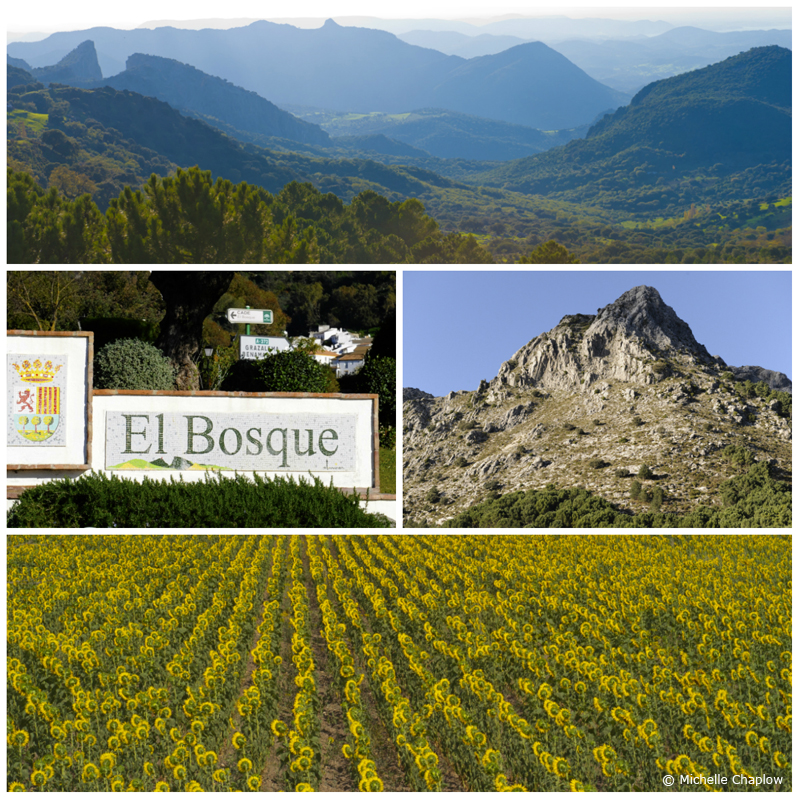 The village of El Bosque in the Cadiz province, Andalucia, Southern Spain