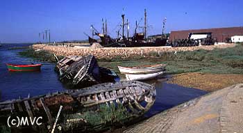 Muelle de la Calaveras