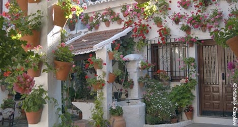 Most beautifully decorated patio contest. &copy; Michelle Chaplow