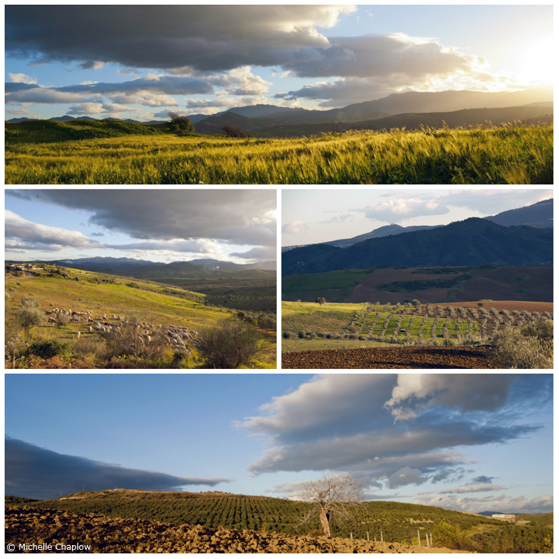 Alozaina, unos cinco kilómetros en tamaño, esta situada entre las regiones geográficas distintas del Valle del Guadalhorce y la Serrania de Ronda ©Michelle Chaplow