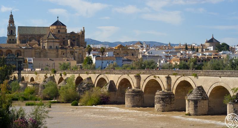 El Puente Romano de Córdoba ©Michelle Chaplow