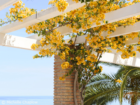 &copy; Michelle Chaplow The village of Maro has a blue flag beach, Playa El Maro