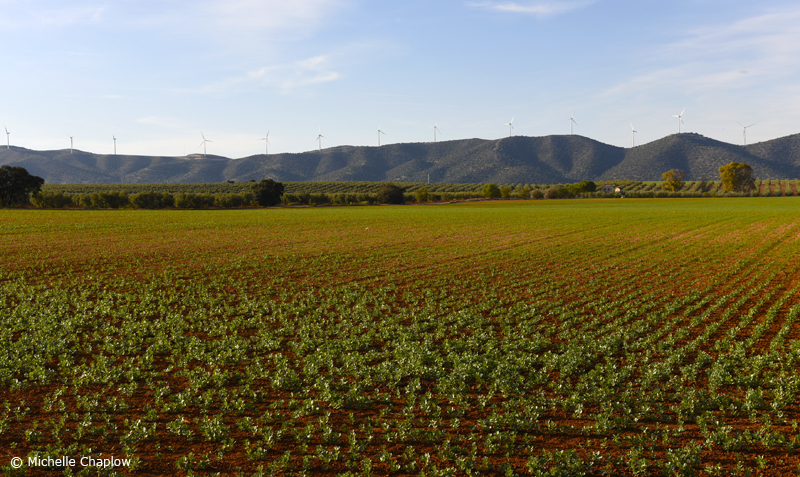 Fertile Plains of Andalucia | Environment | Andalucía.com