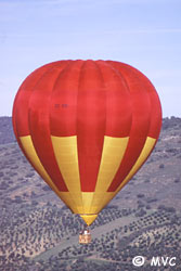Balloon over olive groves Balloon over olive groves