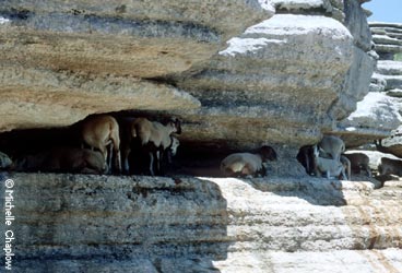 El Torcal © Michelle Chaplow
