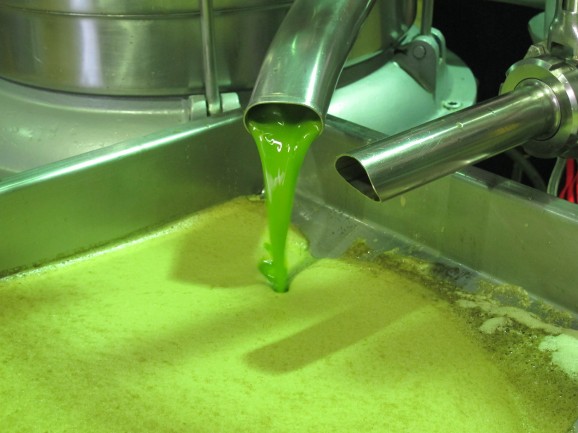 The finished product: freshly-produced picual extra virgin olive oil.