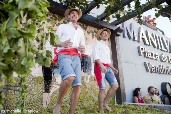 Manilva grape harvest
