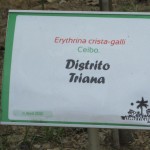 Distrito Triana Distrito Triana