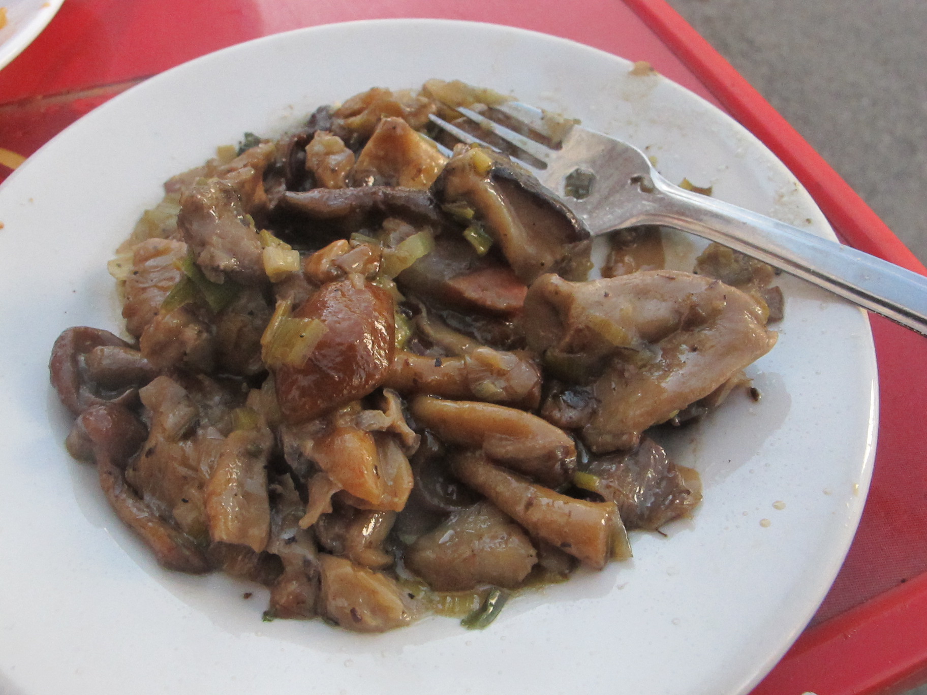 Mushroom picking in Andalucia