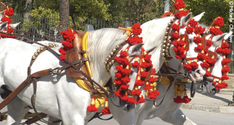 The may horse fair in Jerez © Michelle Chaplow