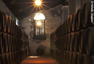 Whilst dining in Jerez, take time out to visit the bogedas. © Michelle Chaplow