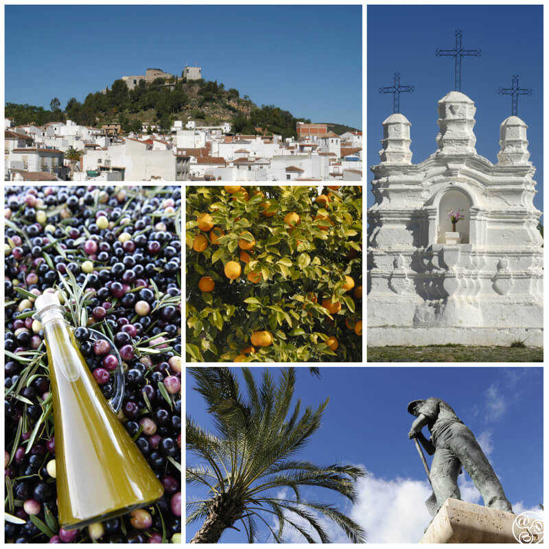 A guide to the village of Monda Malaga province