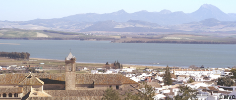 Explore the remote village of Bornos and its reservoir. Explore the remote village of Bornos and its reservoir.