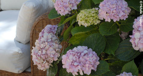 A beautiful garden gives so much pleasure A beautiful garden gives so much pleasure