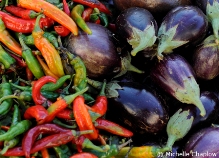 Being Vegetarian in Spain Being Vegetarian in Spain © Michelle Chaplow