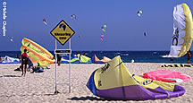 Monthly festivals Guide Monthly festivals Guide