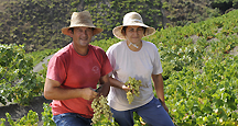 Wine Tourism Wine Tourism