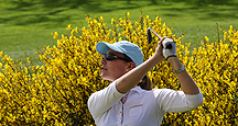 Golf Golf