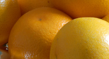 © MVC Make your own Marmelade