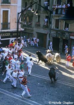  The Running of the Bulls. © Michelle Chaplow