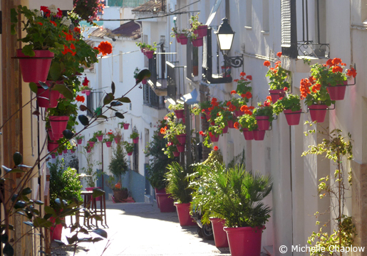 Estepona's winding streets are bursting with colour thanks to their lovely flowerpots. © Michelle Chaplow .