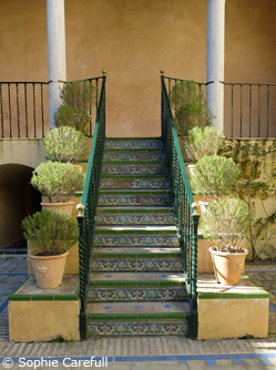 The peaceful gardens of the Alcazar in Sevilla. © Sophie Carefull The peaceful gardens of the Alcazar in Sevilla. © Sophie Carefull
