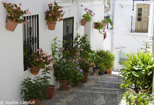 The pretty streets of El Borge, a village in La Axarquia. © Sophie Carefull  