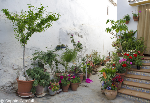 A delightful patio in Totalan. © Sophie Carefull A delightful patio in Totalan. © Sophie Carefull