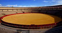 Sightseeing Tours in Seville Sightseeing Tours in Seville