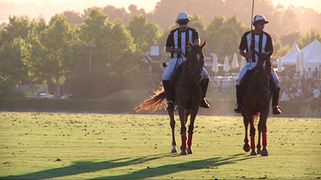 Competitive Polo in Seville - POLO+10