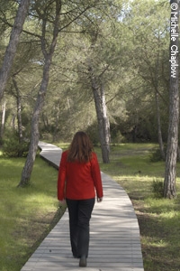 Footpaths of Doñana. © Michelle Chaplow