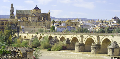 © Michelle Chaplow © Michelle Chaplow