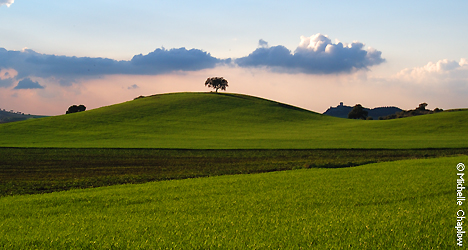 © Michelle Chaplow Velvet rolling hills just south of Seville © Michelle Chaplow Velvet rolling hills just south of Seville