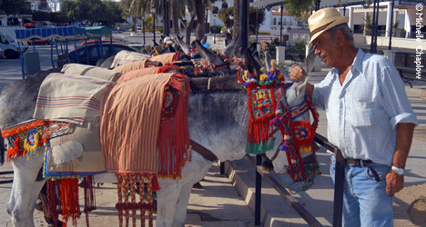 © Michelle Chaplow You may have the urge to swap the hire car for a donkey in Mijas © Michelle Chaplow You may have the urge to swap the hire car for a donkey in Mijas