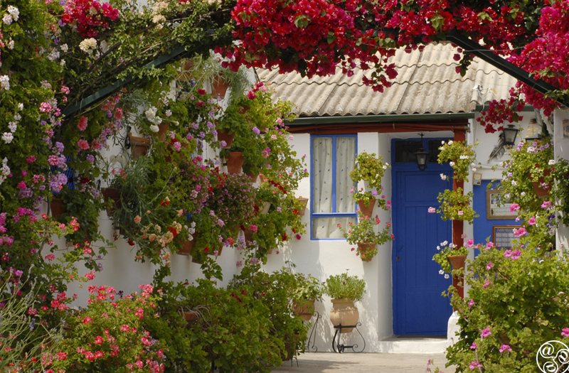 White houses are transformed by the brightly coloured flowers. ©Michelle Chaplow White houses are transformed by the brightly coloured flowers. ©Michelle Chaplow