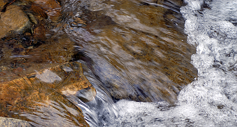 © Michelle Chaplow Listen to the sounds of bubbling rivers and streams in the Sierra de las Nieves