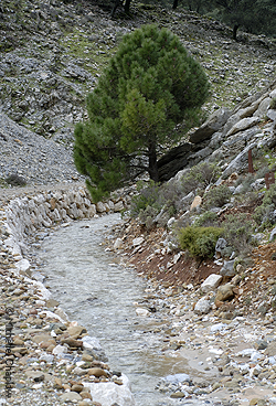  © Michelle Chaplow Arroyo Fuenfria