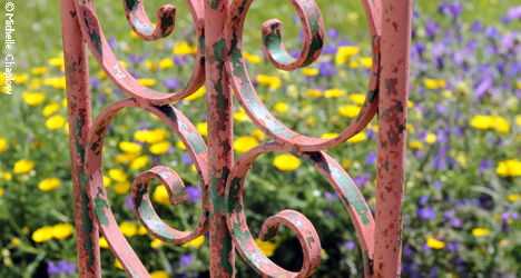 © Michelle Chaplow Wrought iron gates and wild flowers in Benalup © Michelle Chaplow Wrought iron gates and wild flowers in Benalup