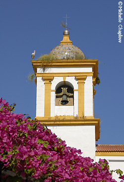 © Michelle Chaplow Storks, churches and bourganvillea in Chiclana