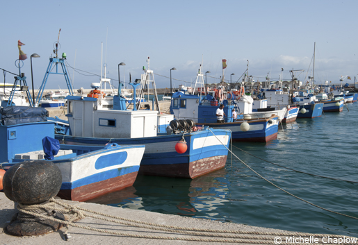 Fishing boats in the port in Tarifa. © Michelle Chaplow