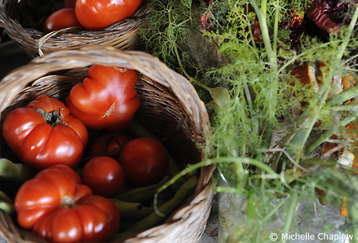 Organic produce © Michelle Chaplow Organic produce © Michelle Chaplow .