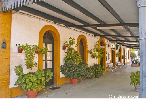 Cortes de la Frontera station in the late evening sunlight © Michelle Chaplow Cortes de la Frontera station in the late evening sunlight © Michelle Chaplow .