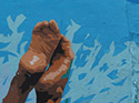 Jump in the Blue Jump in the Blue