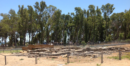 La Basilica de Vega del Mar was a early Christian church and necropolis in the heart of a eucalyptus forest.