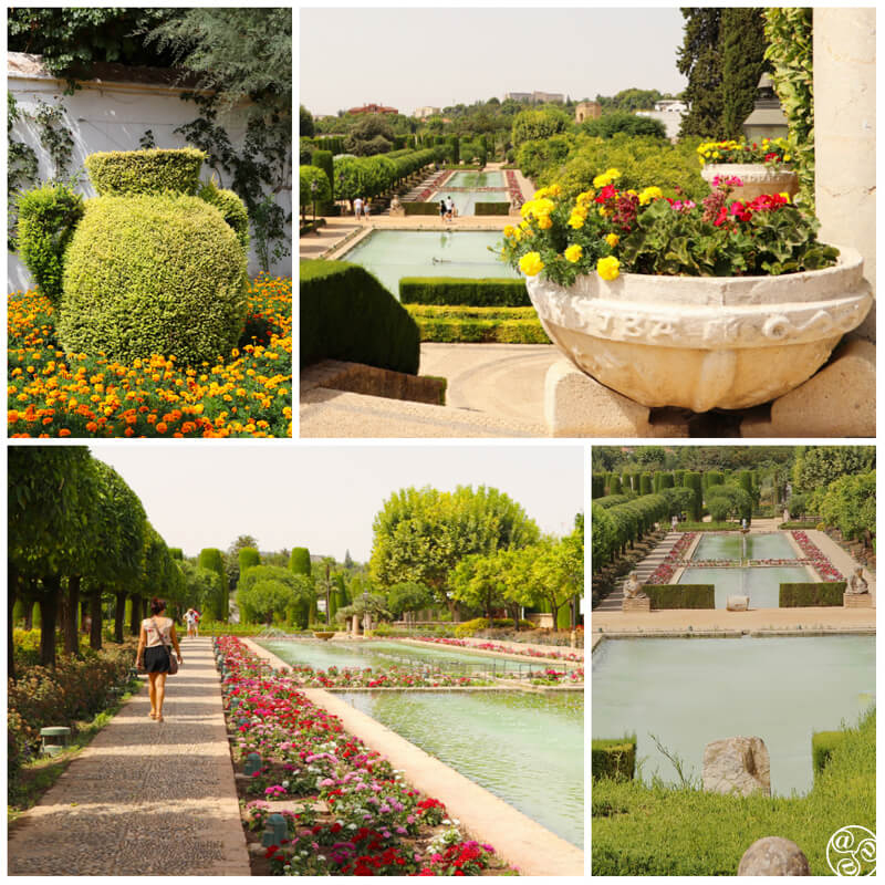 The colourful and very well maintained gardens in the Alcázar ©Max Phythian The colourful and very well maintained gardens in the Alcázar ©Max Phythian