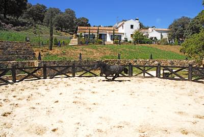 Finca Los Pastores Finca Los Pastores