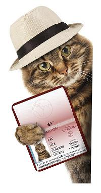 Have passport will travel ©iStock Have passport will travel ©iStock