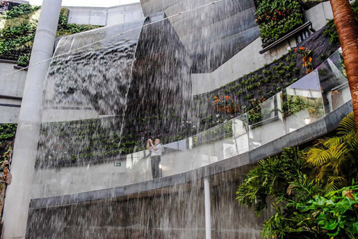 The waterfalls at the Orchid House are spectacular. 