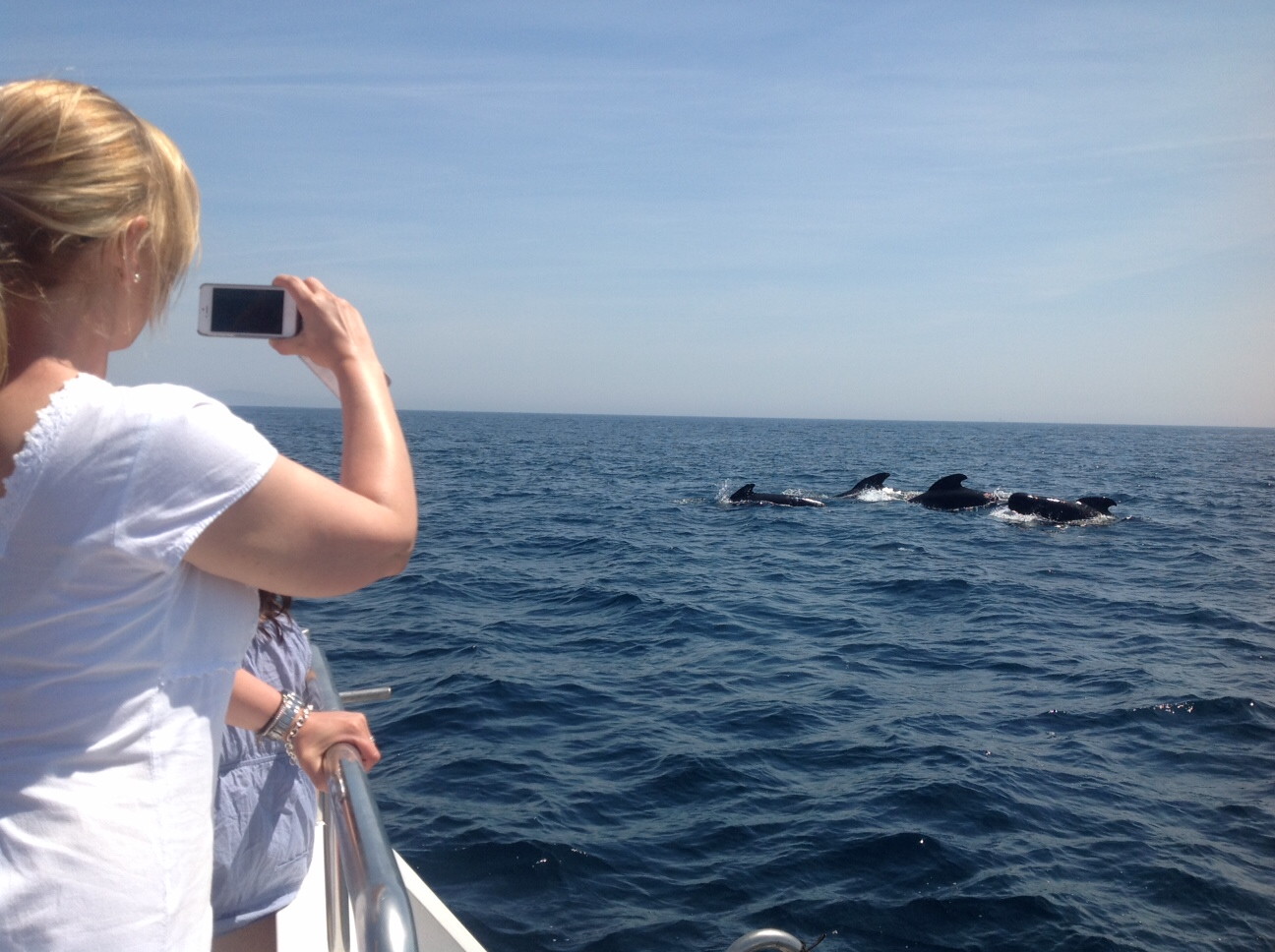 Whale watching trips make for a fascinating day out. ©Andalucia.com Whale watching trips make for a fascinating day out. ©Andalucia.com