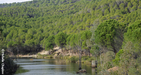 El Madrono is a peaceful spot surrounded by parkland and the nearby rivera del Jarrama © Michelle Chaplow El Madrono is a peaceful spot surrounded by parkland and the nearby rivera del Jarrama © Michelle Chaplow